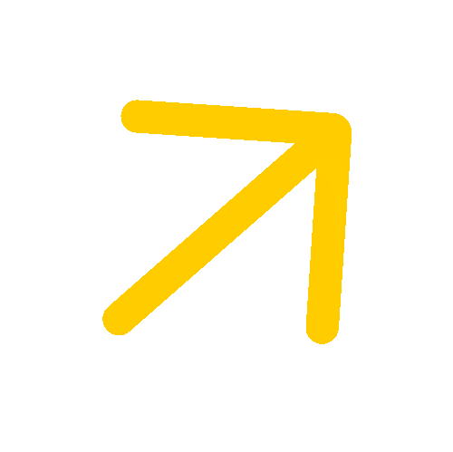 Light Bulb icon